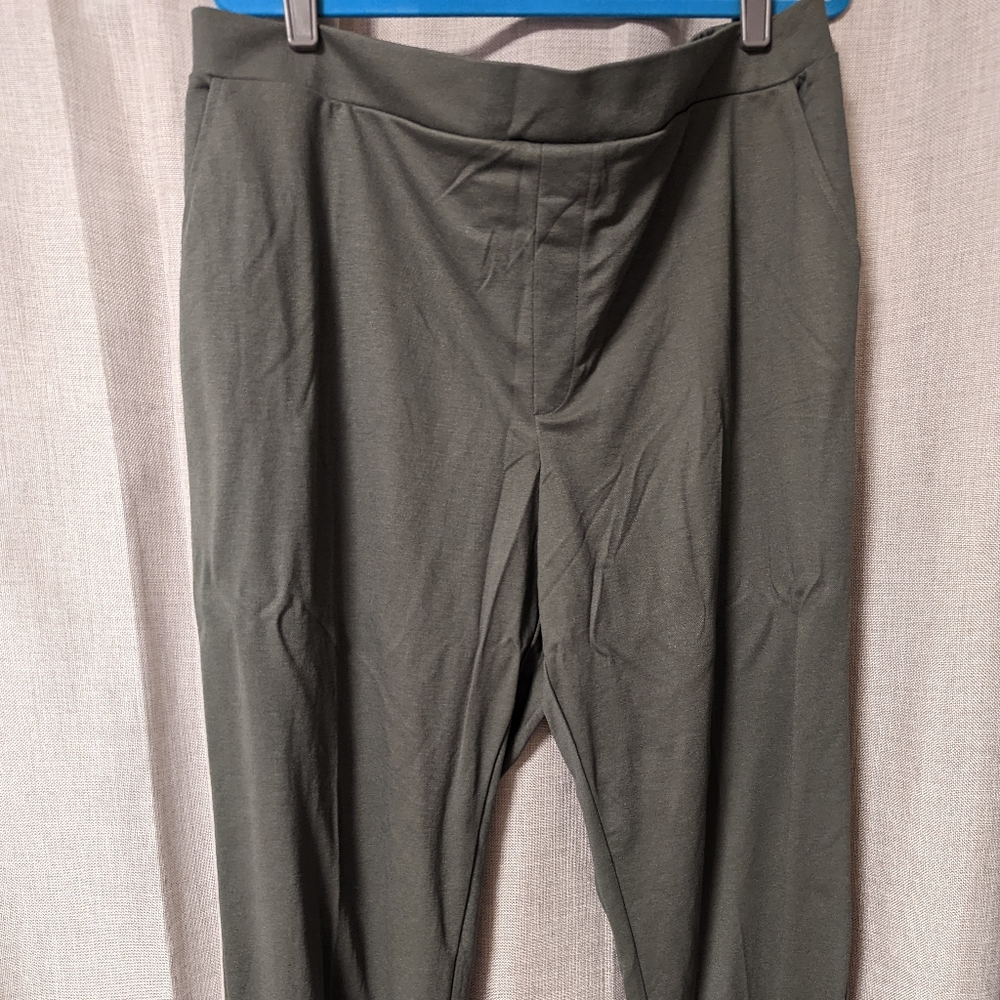 Green Banana Republic Hayden style pants in size 20